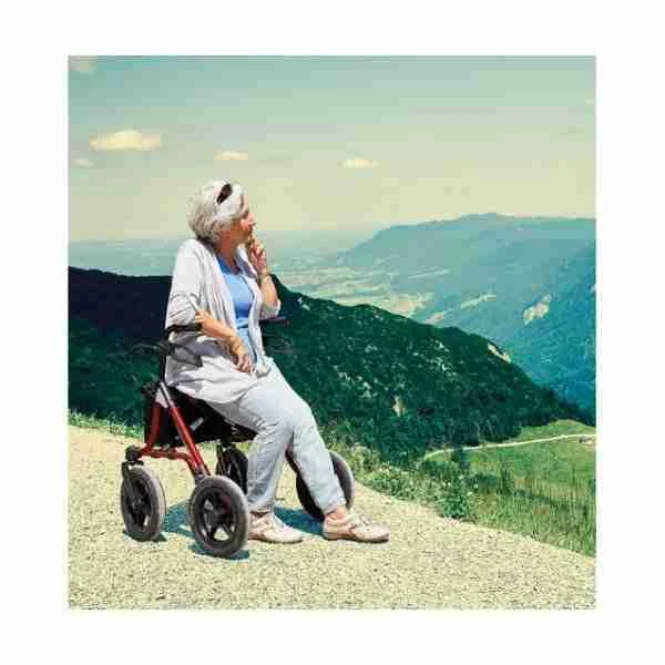 Rollator Dietz Taima XC