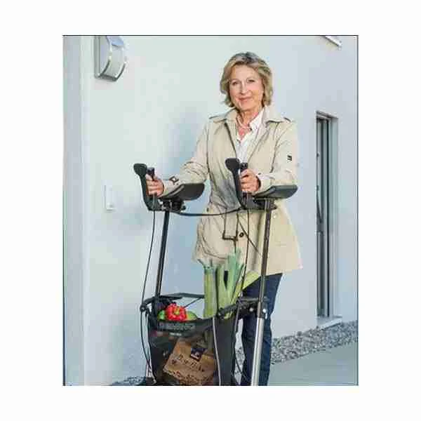 Rollator Gemino 60 Walker